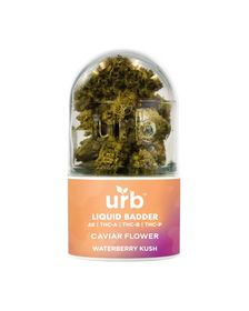 Liquid Badder Caviar Flower – Waterberry Kush_CBDee