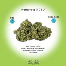 Hempress 3 CBD Hemp Flower_CBDee