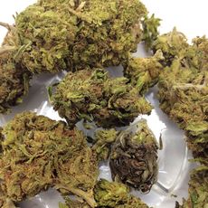 Hawaiian Haze CBD Hemp Flower Buds_CBDee
