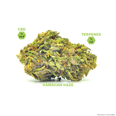 Hawaiian Haze CBD Hemp Flower Buds_CBDee