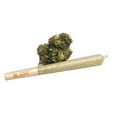 Siskiyou Gold Siskiyou Gold Hemp Flower CBD Pre-Rolls_CBDee