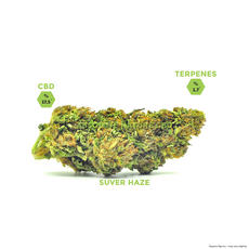 Suver Haze CBD Hemp Flower_CBDee