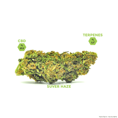 Small 420 Box_CBDee