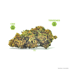 T1 (Trump) CBD Hemp Flower Buds_CBDee