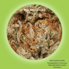 The White CBG Hemp Flower_CBDee