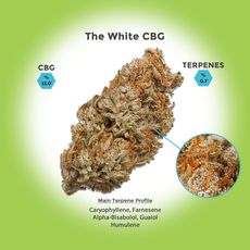The White CBG Hemp Flower_CBDee