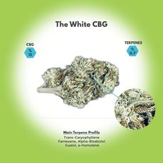 The White CBG Hemp Flower_CBDee