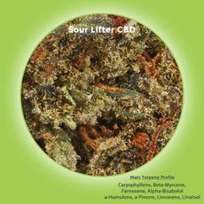 Sour Lifter Hemp Flower