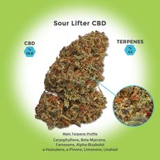 Sour Lifter Hemp Flower