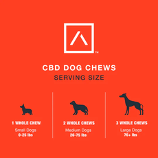 Motive Mini CBD Dog Chews - Cheddar Cheese & Bacon Flavor_CBDee