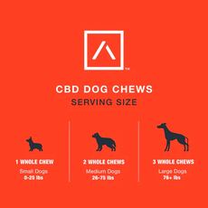Motive CBD for PETS Bundle_CBDee