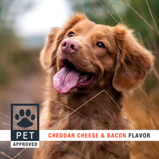 Motive Mini CBD Dog Chews - Cheddar Cheese & Bacon Flavor_CBDee