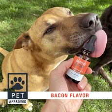 Motive Full Spectrum CBD Oil for Pets_CBDee