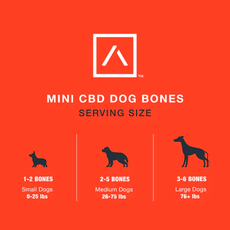 Motive Mini CBD Dog Bones - Peanut Butter and Blueberry_CBDee