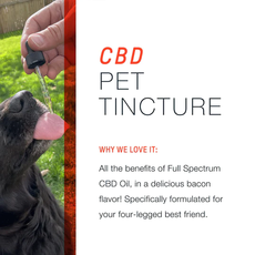 Motive CBD for PETS Bundle_CBDee