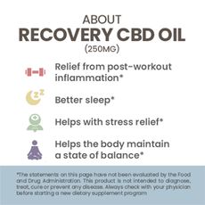 Hempure Recovery CBD Oil Drops 250 mg_CBDee