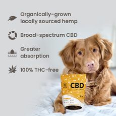 Hempure CBD CBD Pet Chews 2mg_CBDee