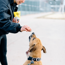 Hempure Pet Bundle: Furry Friend Bundle: Capsules + Pet Chews_CBDee