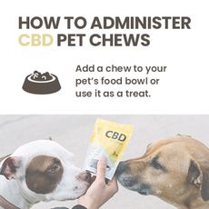 Hempure CBD CBD Pet Chews 2mg_CBDee