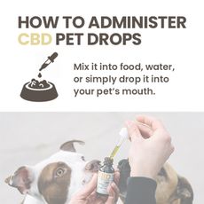 Hempure CBD Pet Drops 250mg_CBDee