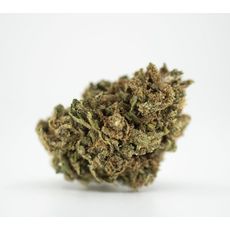Boston Green Health CBD Hemp Flower Mammoth Pre-Rolled Cone_CBDee