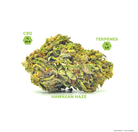 Hawaiian Haze CBD Hemp Flower Buds_CBDee