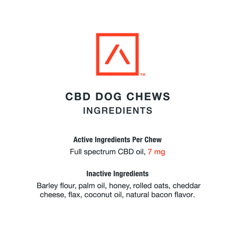 Motive Mini CBD Dog Chews - Cheddar Cheese & Bacon Flavor_CBDee