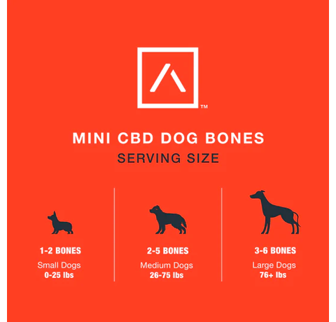 Motive Mini CBD Dog Bones - Peanut Butter and Blueberry_CBDee