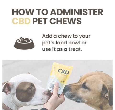 Hempure CBD CBD Pet Chews 2mg_CBDee